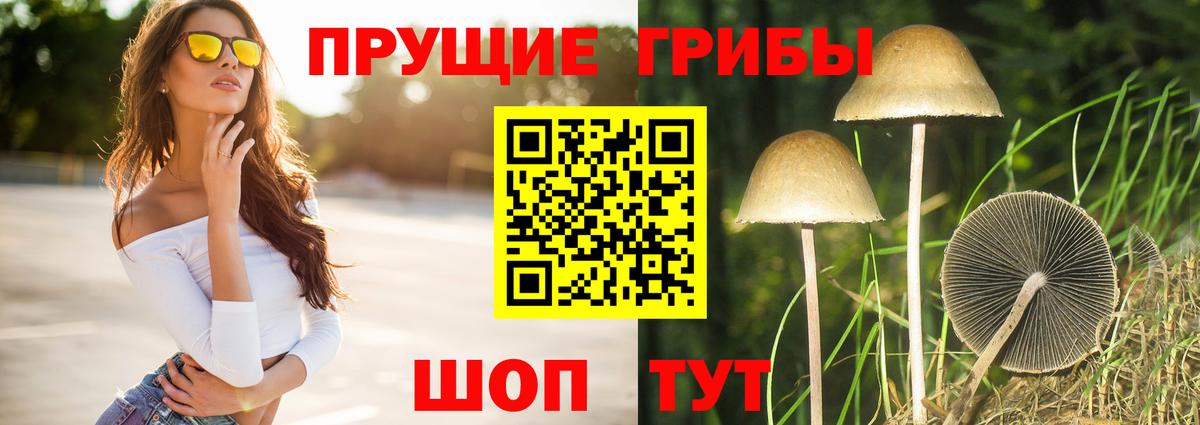 закладки  Вход с VPN  Павловский Посад  Псилоцибиновые грибы Magic Shrooms  Псилоцибиновые грибы мицелий 